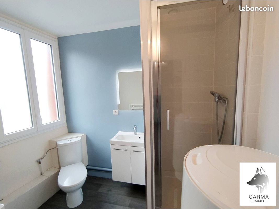 Immeuble 150 m² Les Hauts-d'Anjou (image 12)