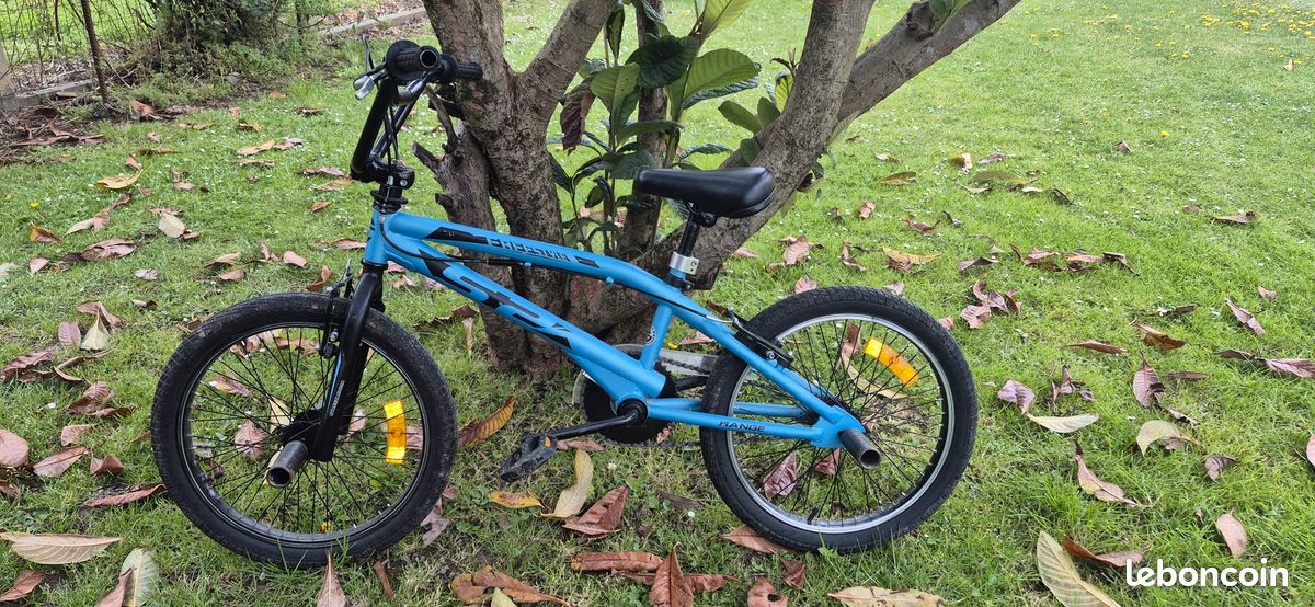 Bmx freestyle (image 3)