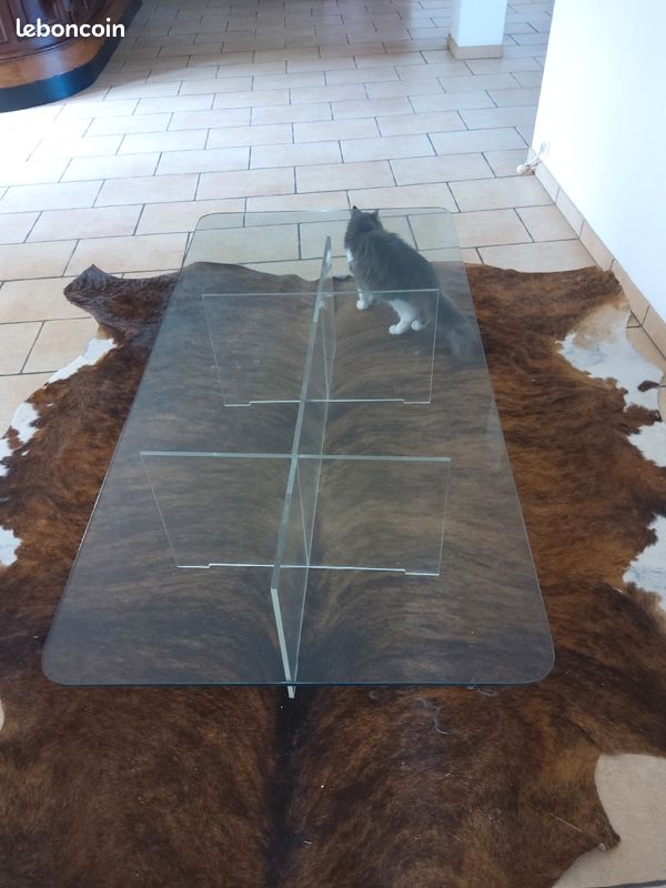 Table basse en verre pied en plexi (image 1)