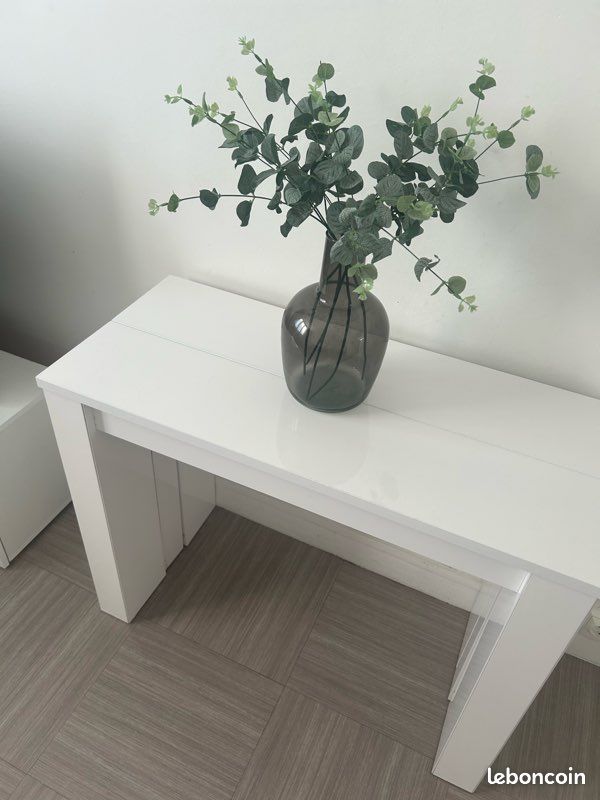 Table console extensible (image 10)