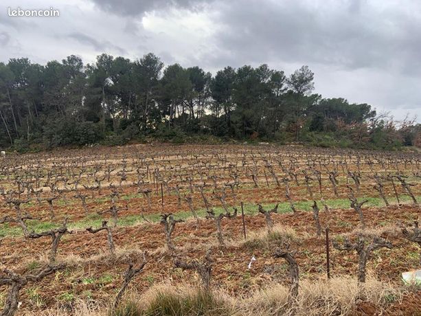 Terrain 1 262 m² Pourrieres