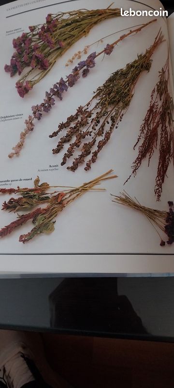 Livre sur les fleurs séchées (image 7)