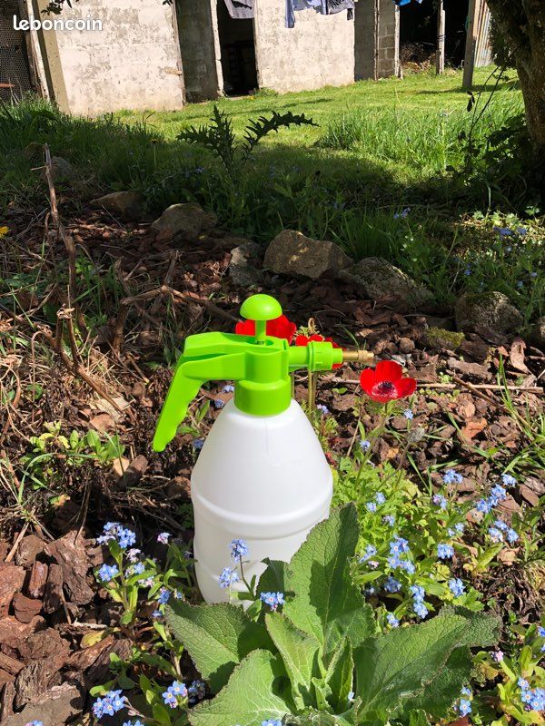 Pulvérisateur à pression 2,5l avec buse en métal (image 4)