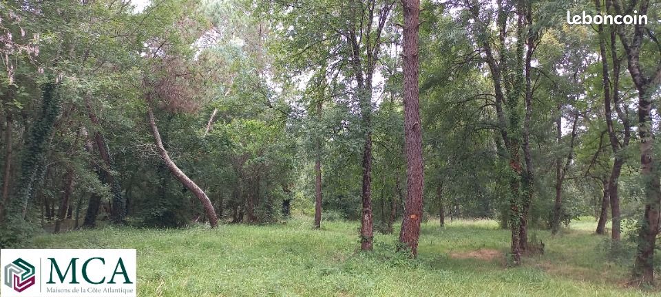Terrain 1484 m² · à Ménesplet · 35 000 €