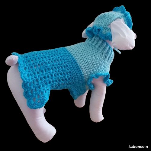 Pull petit chien + chapeau assorti fait main (image 1)