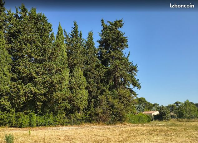 Terrain 980 m² Caromb