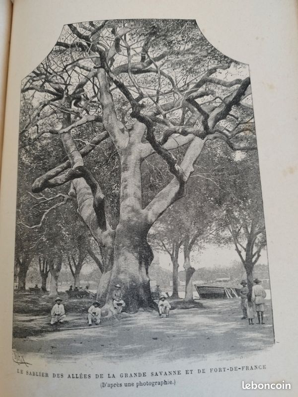 Livre rare "Trois ans à La Martinique" 1902 (image 11)