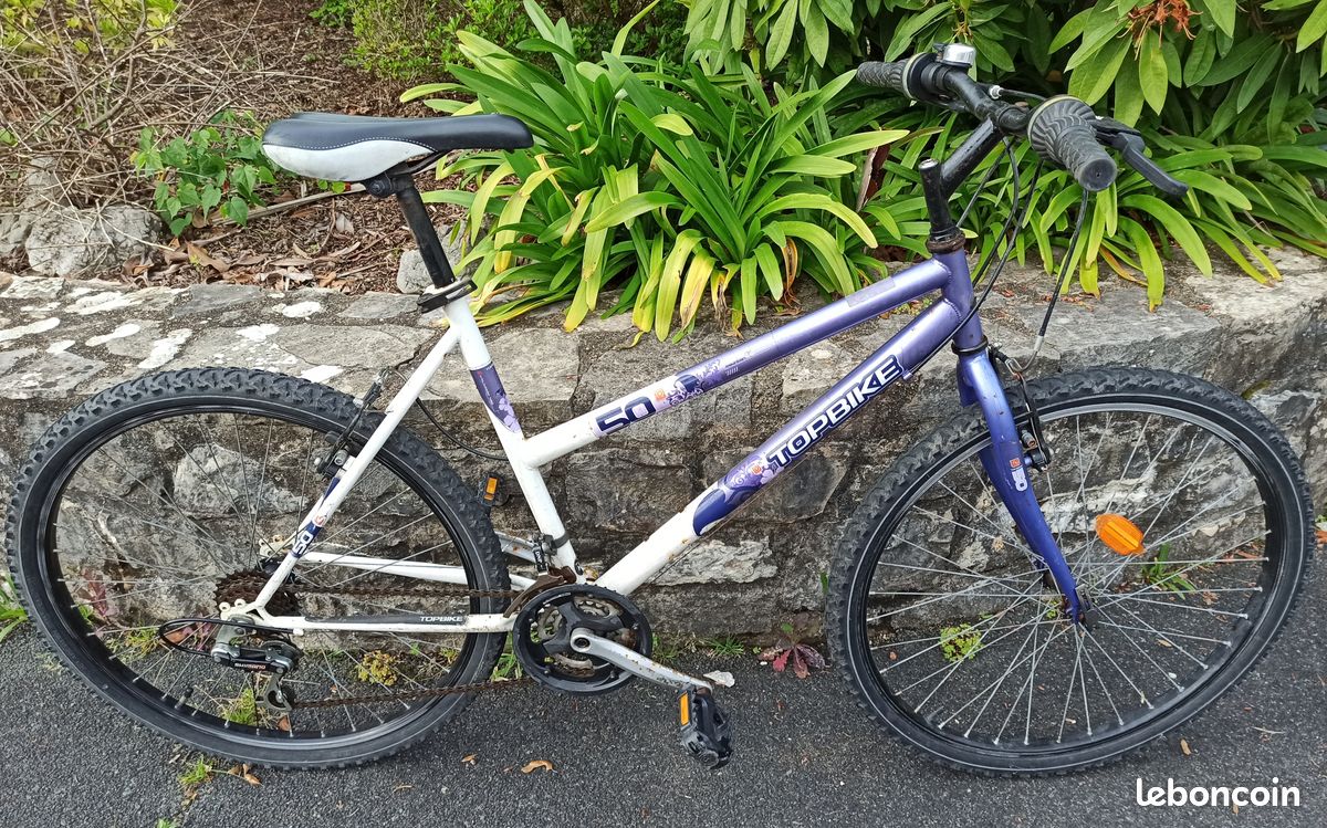 Bicyclette Vtt Mountain 50 Femme Velo Toplife Velo Femme Avec