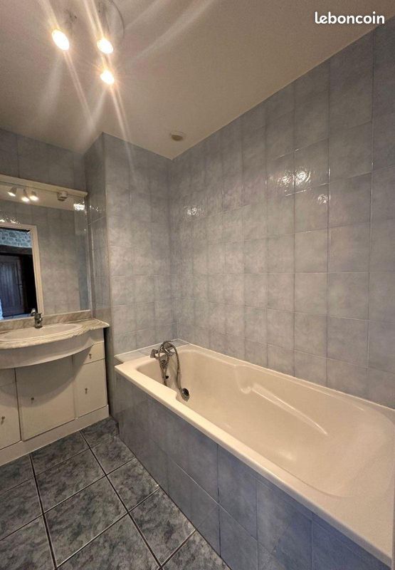 Appartement 2 pièces 41 m² - Ussel 19200 (image principale 3)