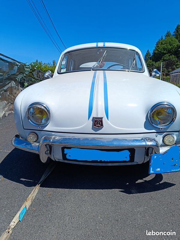 Dauphine gordini (image 2)