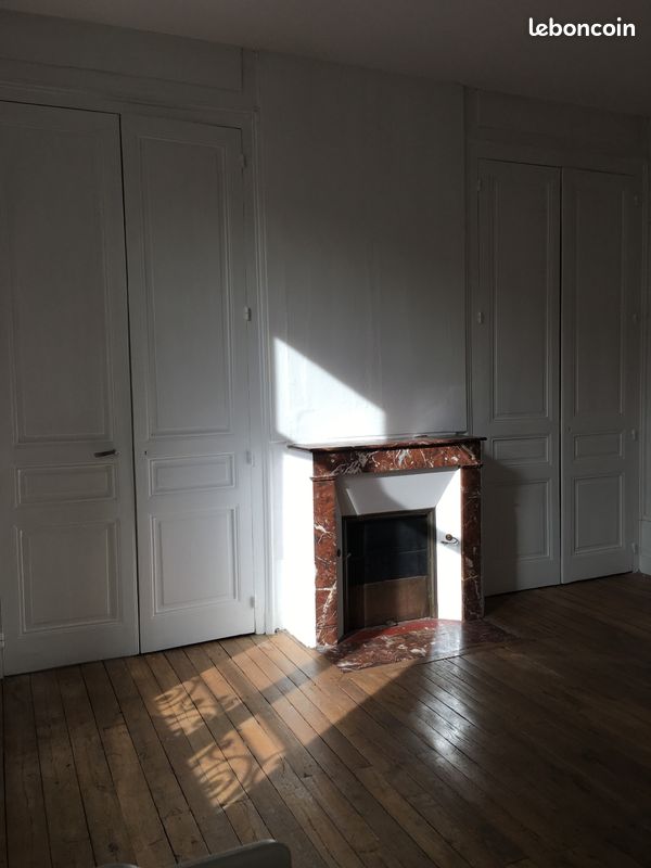 Beau et lumineux t3 refait a neuf quartier mairie - Limoges 87000 (image principale 0)