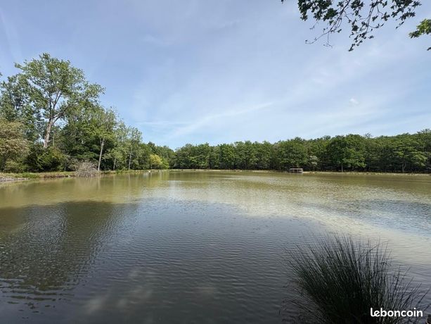 Terrain 77 531 m² Lathus Saint Remy