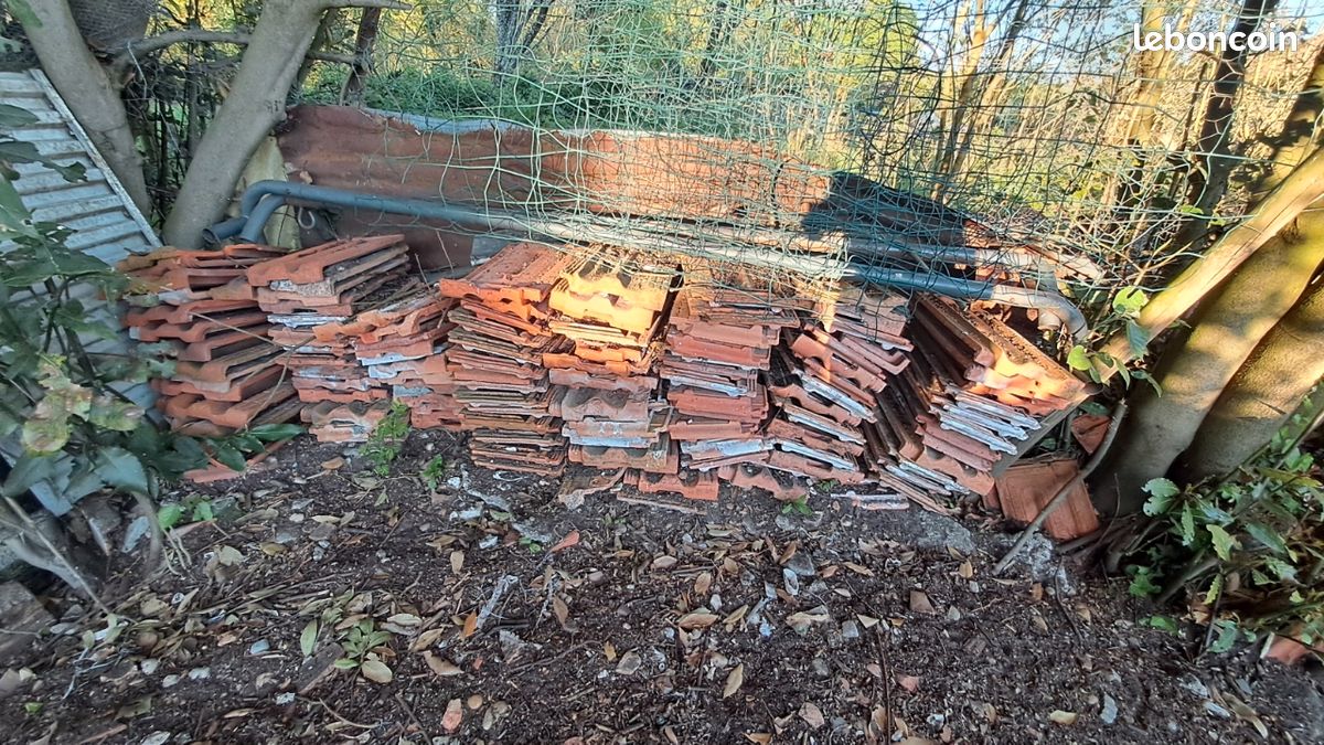 Lot de tuiles (image 1)