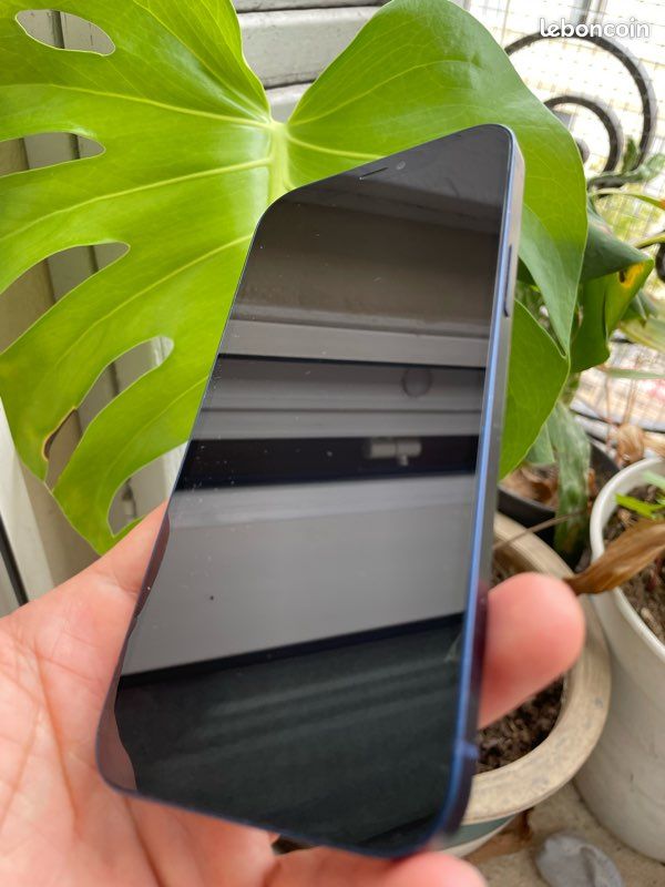 IPhone 12 (image 3)