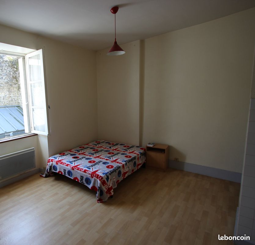 Studio, hyper centre de Poitiers - Poitiers 86000 (image principale 0)