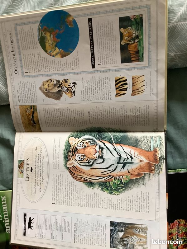 Livres sur les animaux, les dinosaures et le corps humain (image 8)