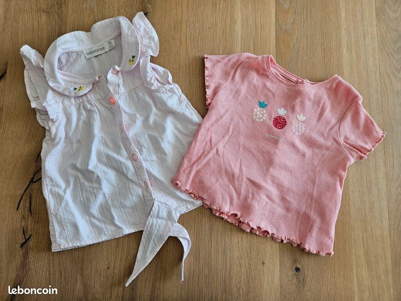 Lot 2 t-shirts 9 mois (image 1)