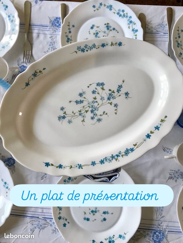 Nostalgie - Lot n° 22 Bis - Assiette de service Normandie - 29 cm - Arcopal 🇫🇷 - Arts de la table