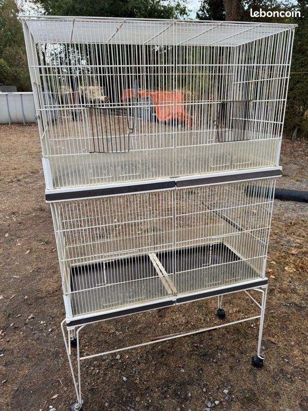Cage oiseaux (image 1)