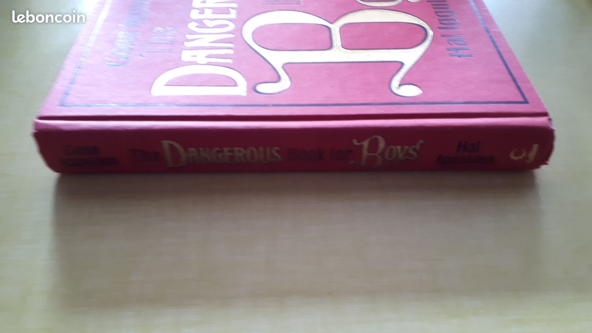The Dangerous Boys – G. Et I. Lggulden (image 2)