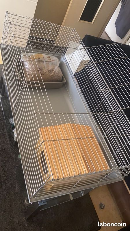 Vends cage rongeur XL (image 4)