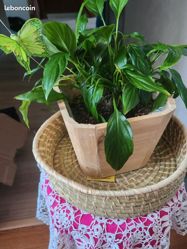 Vends corbeille de rangement (image 1)