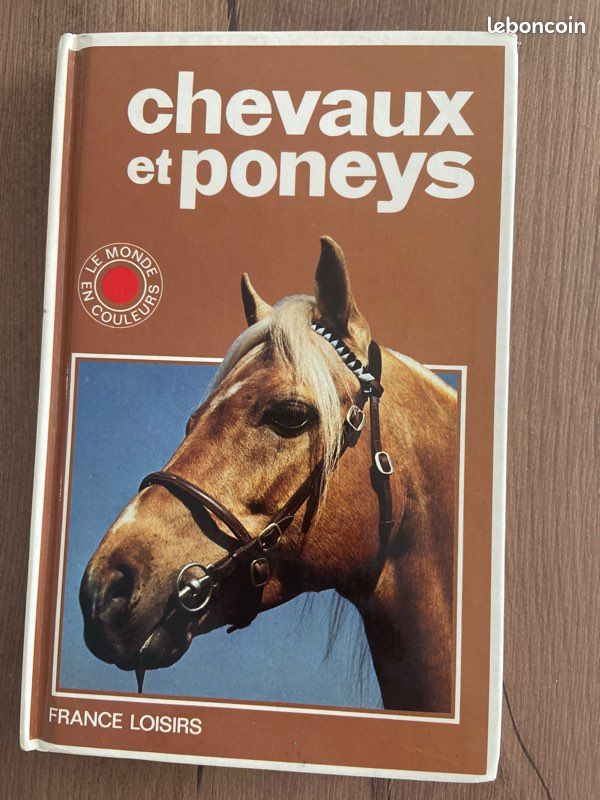 Chevaux et poneys (image 2)