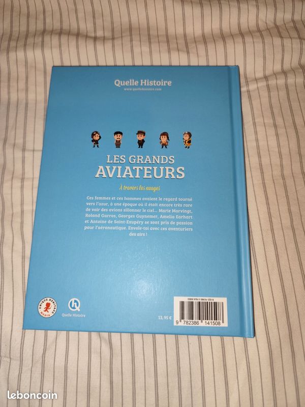 Quelle histoire les grands aviateurs à travers les nuages (image 2)