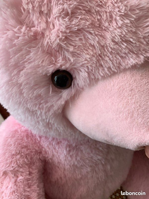 Gros nounours (image 4)