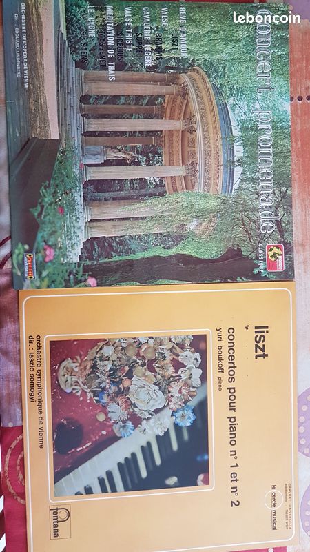 Divers vinyls - beethoven - piaf - notre dame de paris - liszt - valses (image 8)