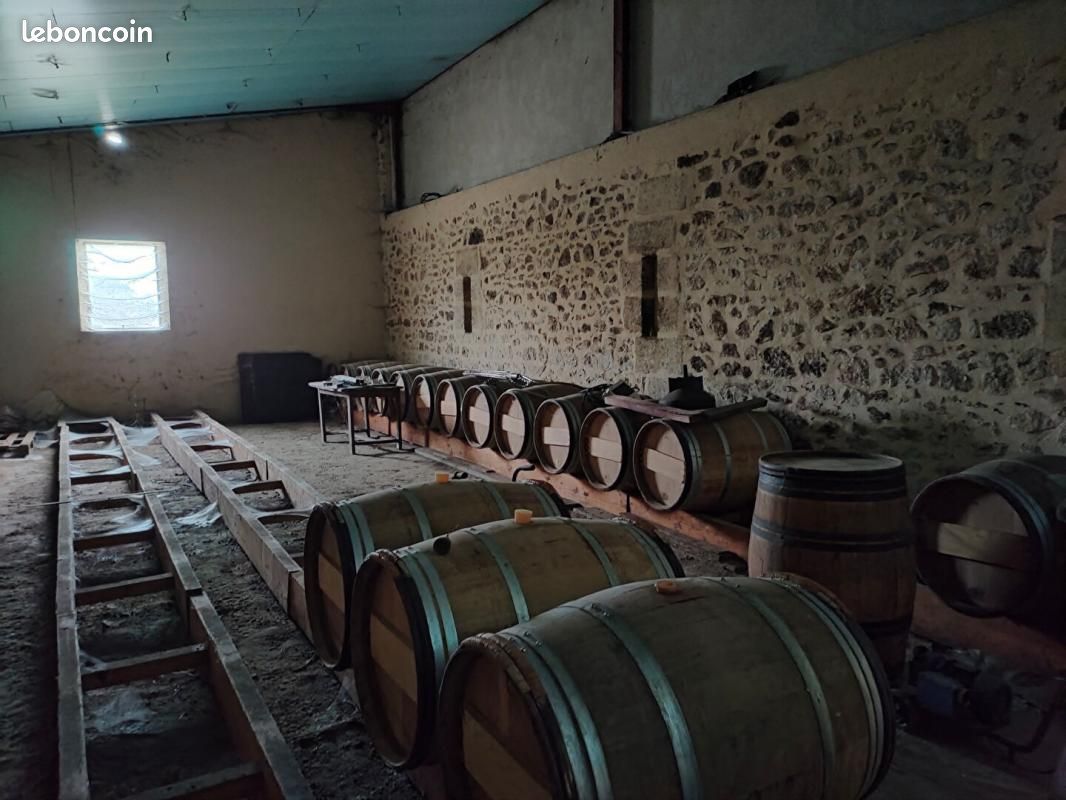 Ferme 5 pièces 1 000 m² - Barsac 33720 (image principale 7)