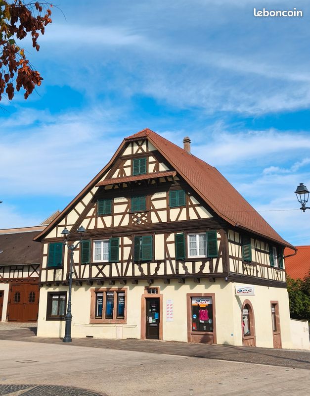 Maison 8 pièces 194 m² · à Erstein · 194 m² · 530 000 €