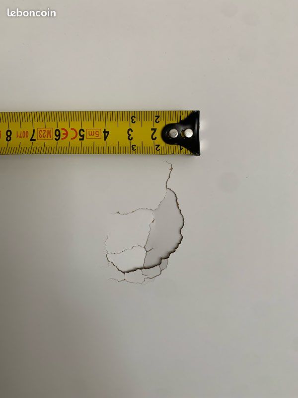 Porte d’interieur prépeint 73cm (image 3)