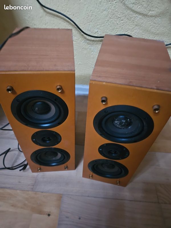 Enceinte Triangle modèle centrale zapping (image 2)