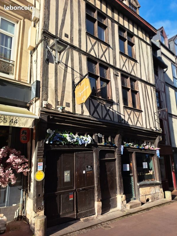 F1 BIS 36 M2, (env 50 M2 au sol) Hyper centre Rouen (place du Vieux Marché) avec Mezzanine