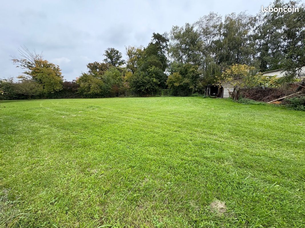 Terrain 1123 m² · à Hilsenheim · 1 123 m² · 159 000 €