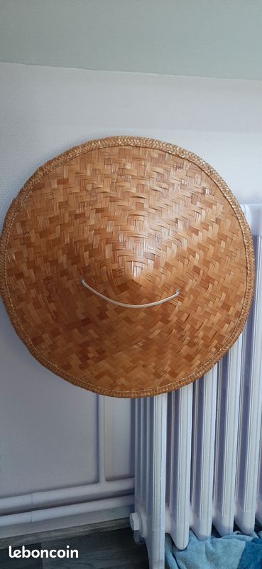 Chapeau vietnamien (image 2)