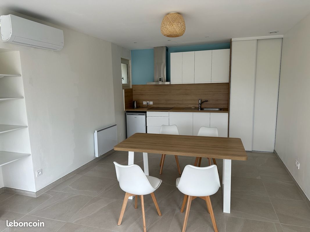 Location maison compatible personnes électro-sensibles, cour, terrasse, Vailhan (image 4)