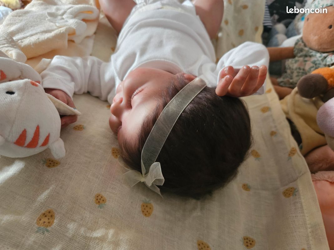 Trouvez votre Bébé Reborn Fille au meilleur prix | Livraison Gratuite
