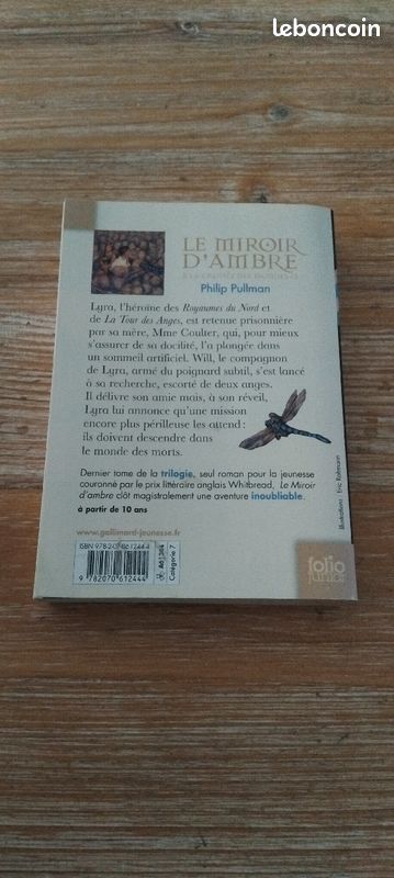 Le miroir d'ambre (image 3)