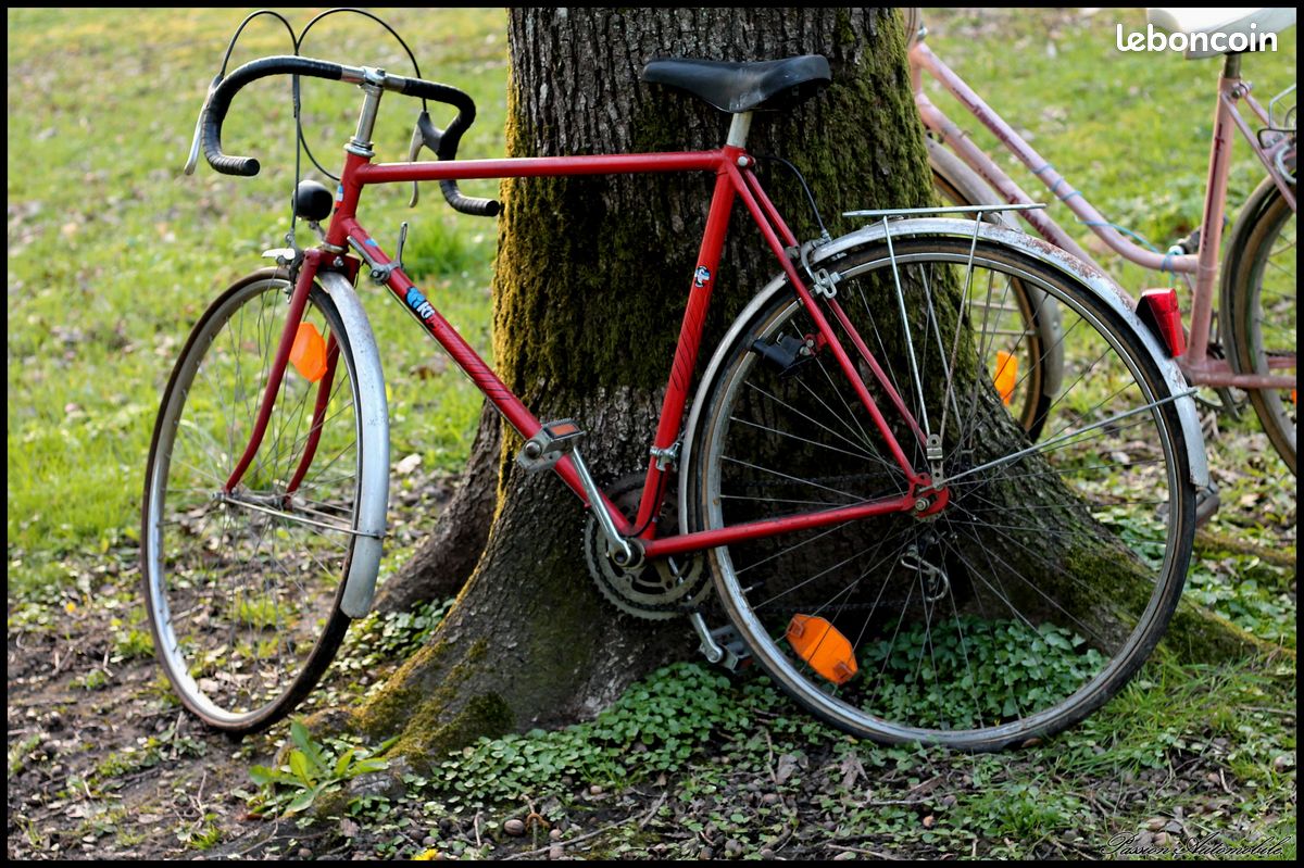 Collection de vélo (image 6)