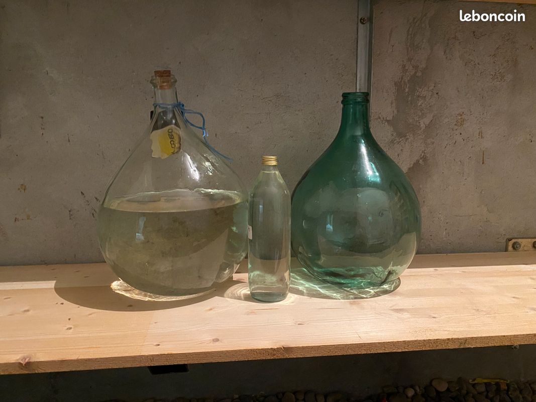 Anciennes Dames-jeannes vintage en verre — Déco bohème / champêtre (image 2)