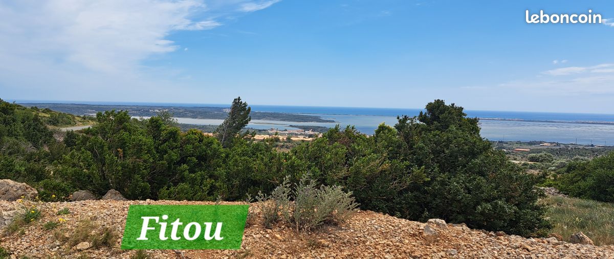 Prix dernière Minute MOINS 15 % Loue villa avec piscine et vue mer et étang de Leucate (image 14)