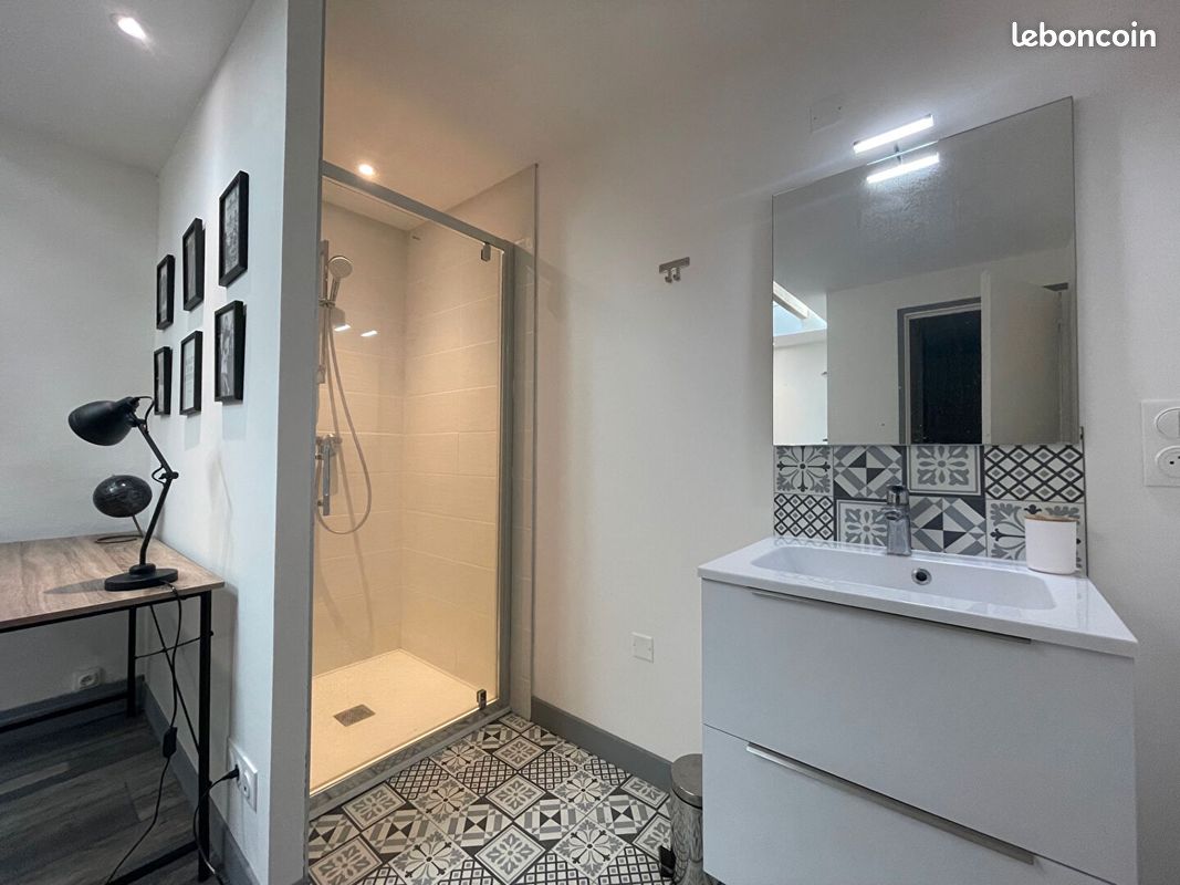 Appartement 1 pièce 10 m² - Agen 47000 (image principale 4)