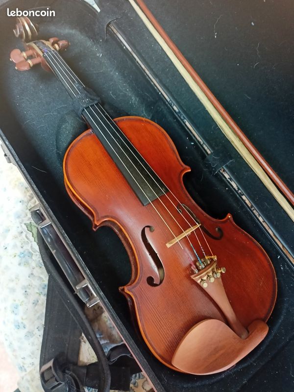 Violon professionnelle (image 1)