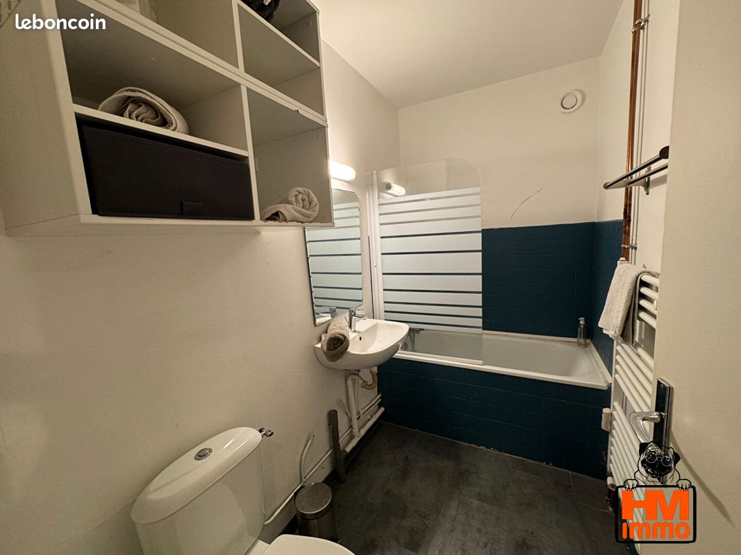 Appartement 1 pièce 30 m² - Limoges 87000 (image principale 3)