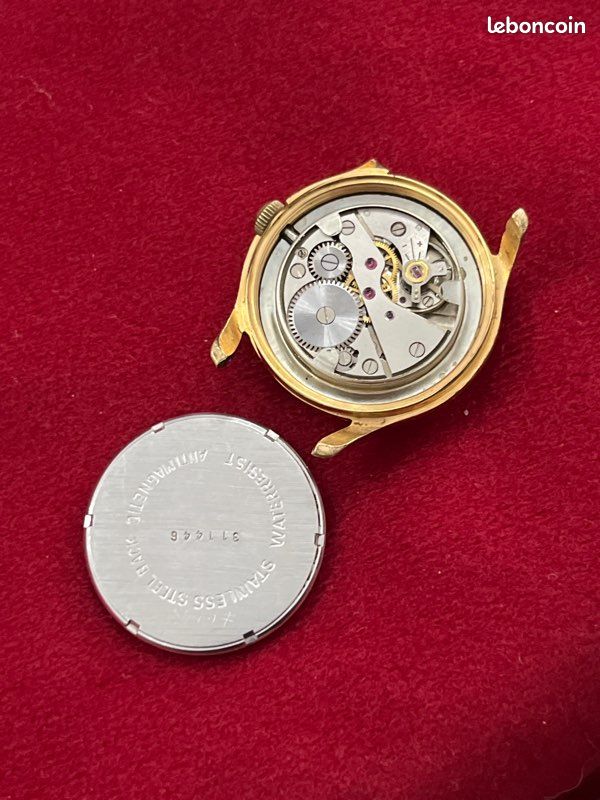 Montre doufine (image 3)