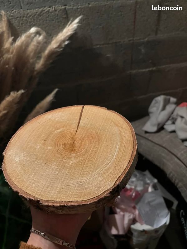 Lot de 11 rondins en bois déco mariage ou anniversaire (image 4)