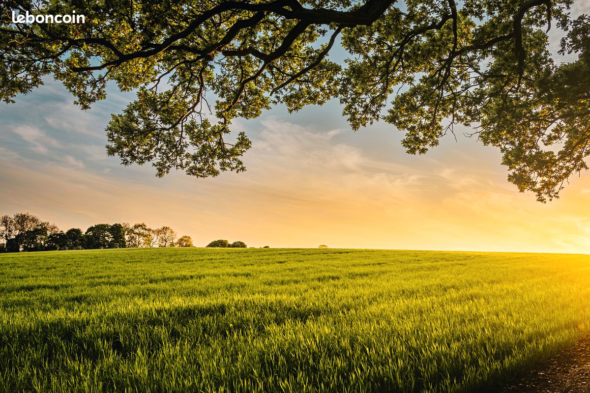 Recherche TERRAIN AGRICOLE · à Robion · 30 000 €