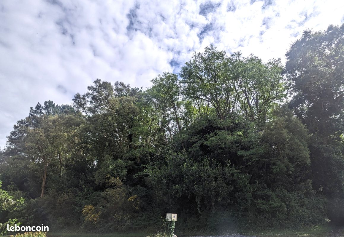 Terrain 13900 m² · à Tarnos · 13 900 m² · 108 040 €